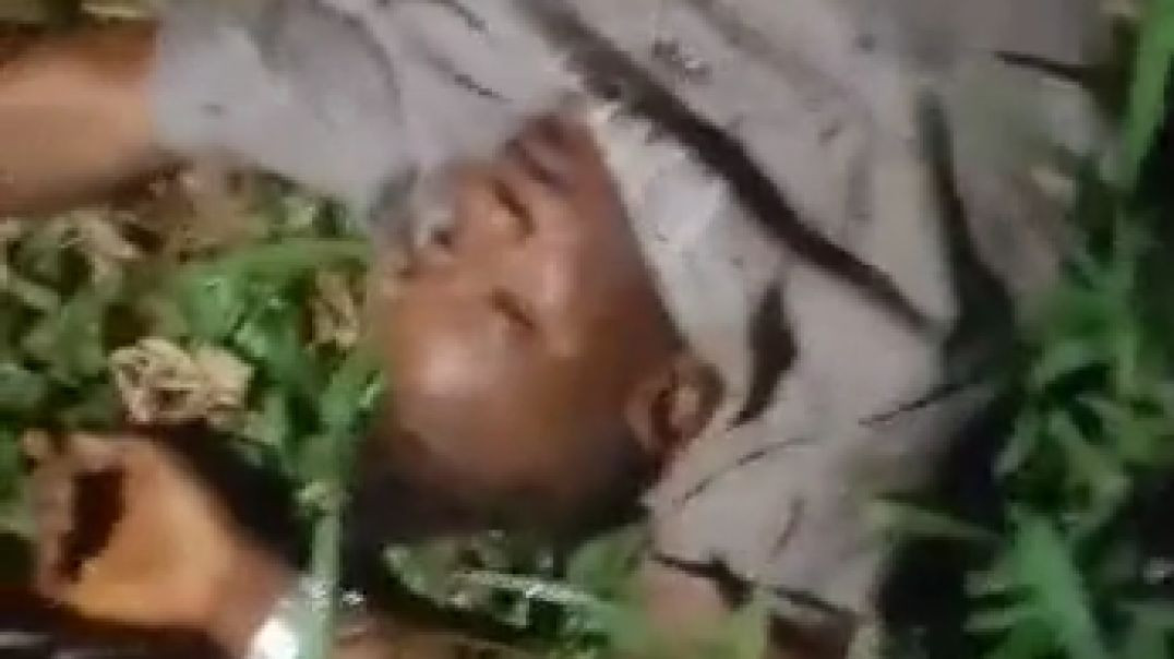 Members of Black Axe gang massacre rival in forest