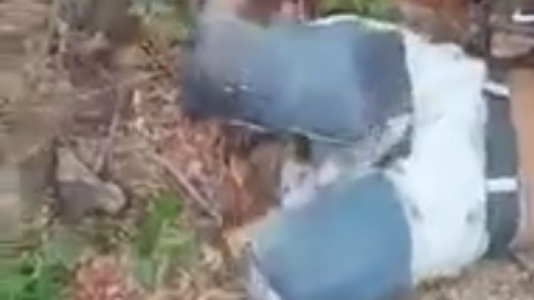 ⁣CUT IN HALF And Then Heart And Guts Ripped Out