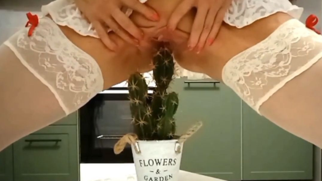 cacti in the vagina
