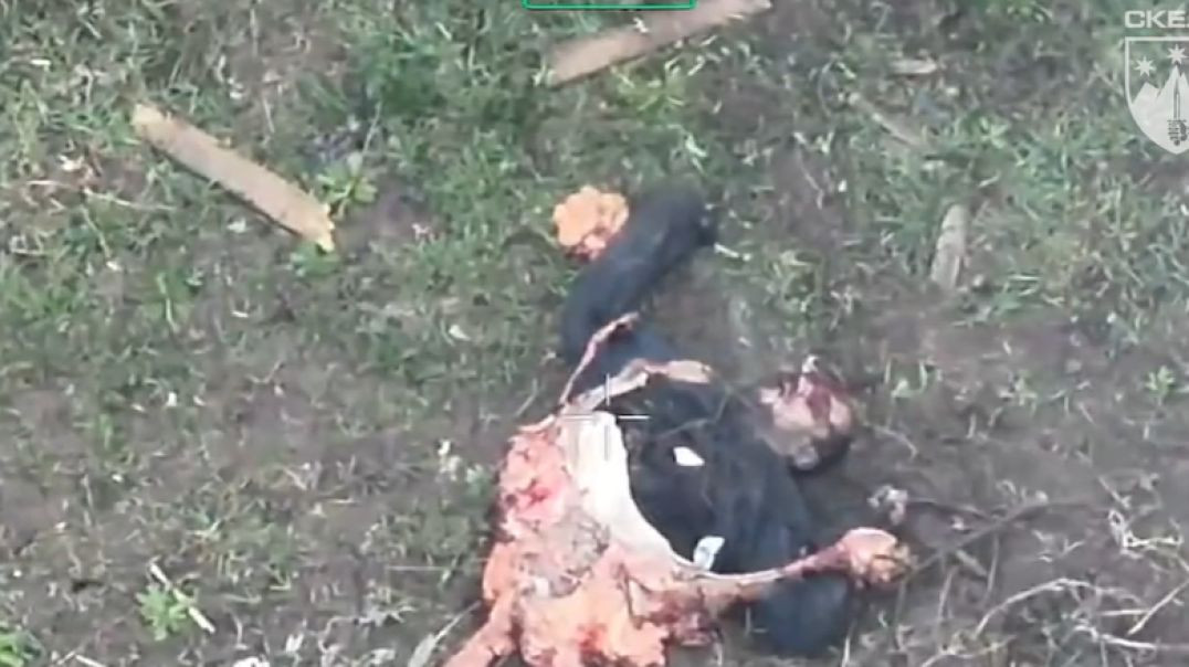 GROOVY! Russian Savagely Ripped in Half. Agony Ensues!